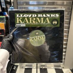 Karma (Remix) by Lloyd Banks featuring Avant