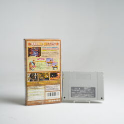Alternative view of Super Donkey Kong 3 (SFC Game)