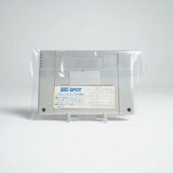 Alternative view of Wonder Project J (SFC Game)