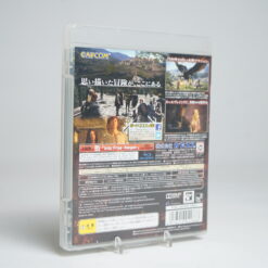 Alternative view of Dragon's Dogma (PS3 Game)