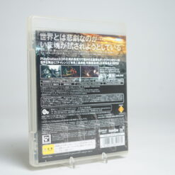 Alternative view of Demon's Souls (PS3 Game)