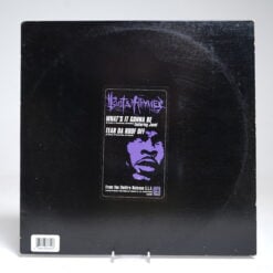 Busta Rhymes – What’s It Gonna Be?! (feat. Janet Jackson) / Tear Da Roof Off (12″ Vinyl Single)