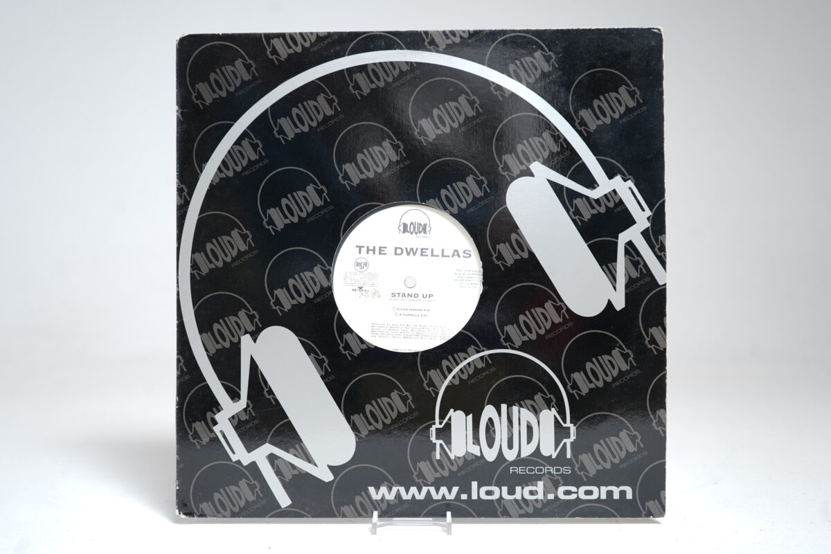 The Dwellas - Stand Up (12″ Vinyl Single)