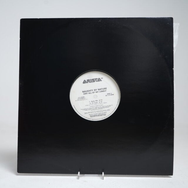 Naughty by Nature – Dirt All by My Lonely (12" Vinyl Single)