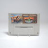 Super Donkey Kong 3 (SFC Game)