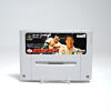 Zen-Nippon Pro Wrestling (SFC Game)