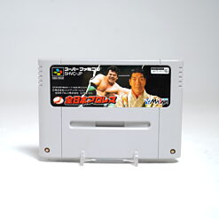 Zen-Nippon Pro Wrestling (SFC Game)