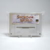 Sword World SFC (SFC Game)