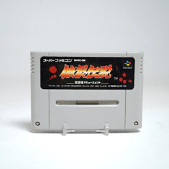 Garou Densetsu (SFC Game)