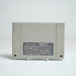 Alternative view of Art of Fighting 2 (SFC Game)