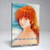 Dead or Alive 4 (Xbox 360 Game)