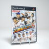 Pro Yakyuu Spirits 5 (PS2 Game)