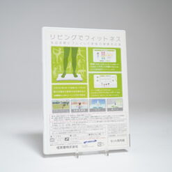 Alternative view of Wii Fit (Wii Game)