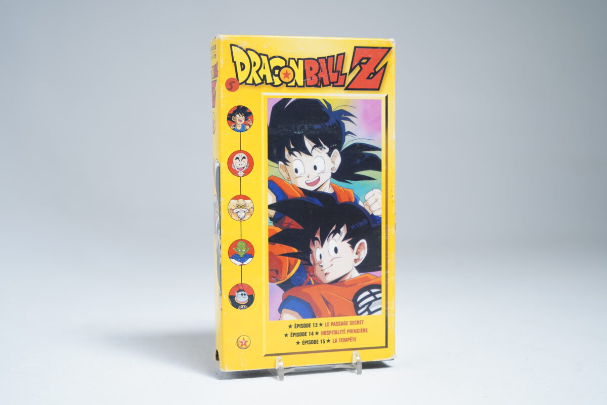 Dragon Ball Z (French)