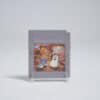 Adventure Island (NTSC-J)